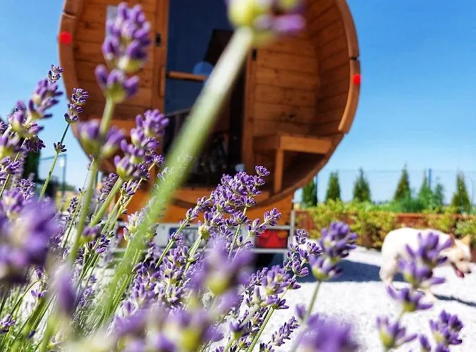 Kawalek Nieba Διαμέρισμα *